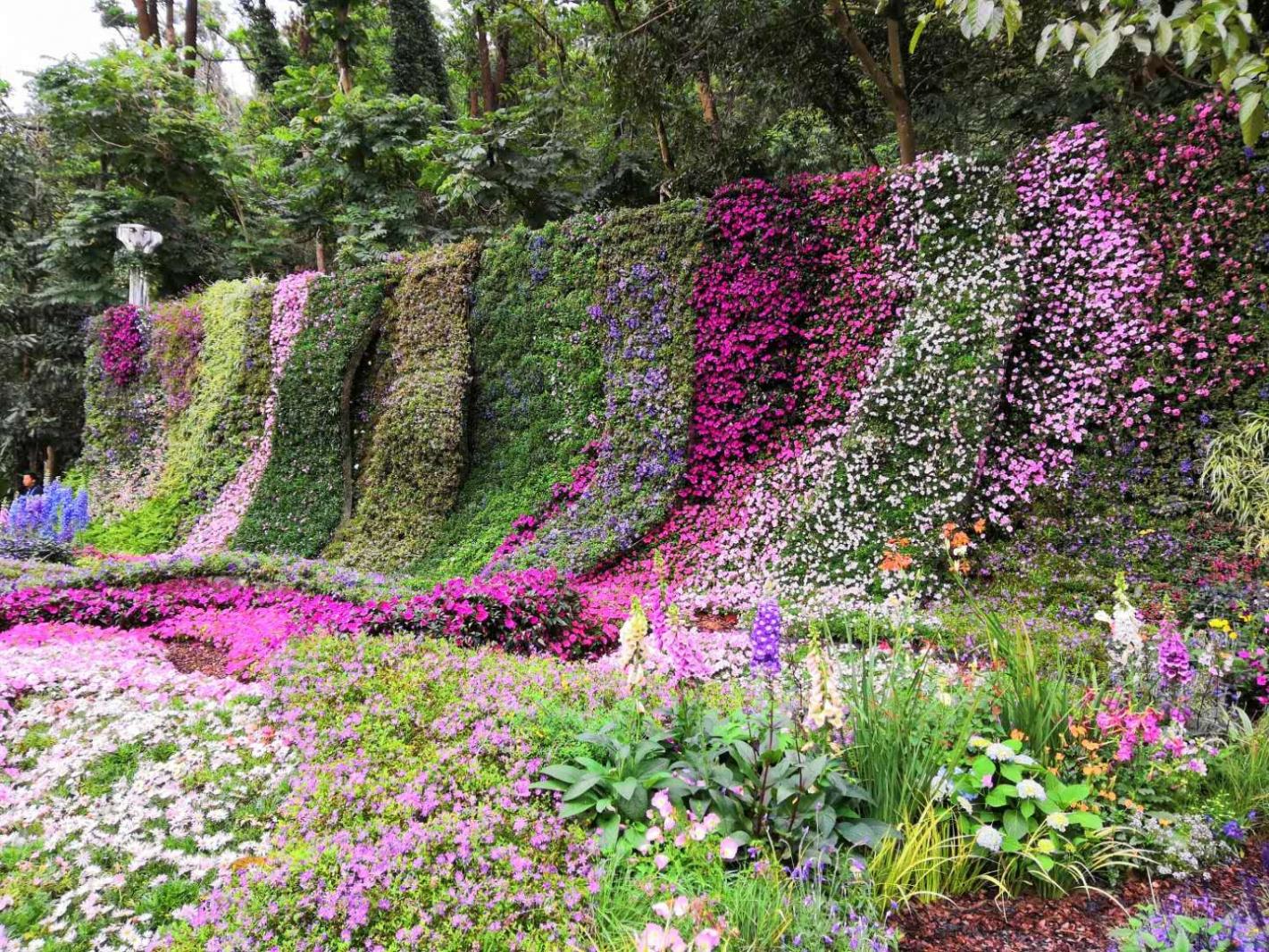 仙湖花展