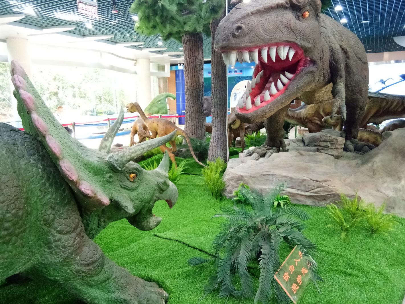 深圳古生物博物馆