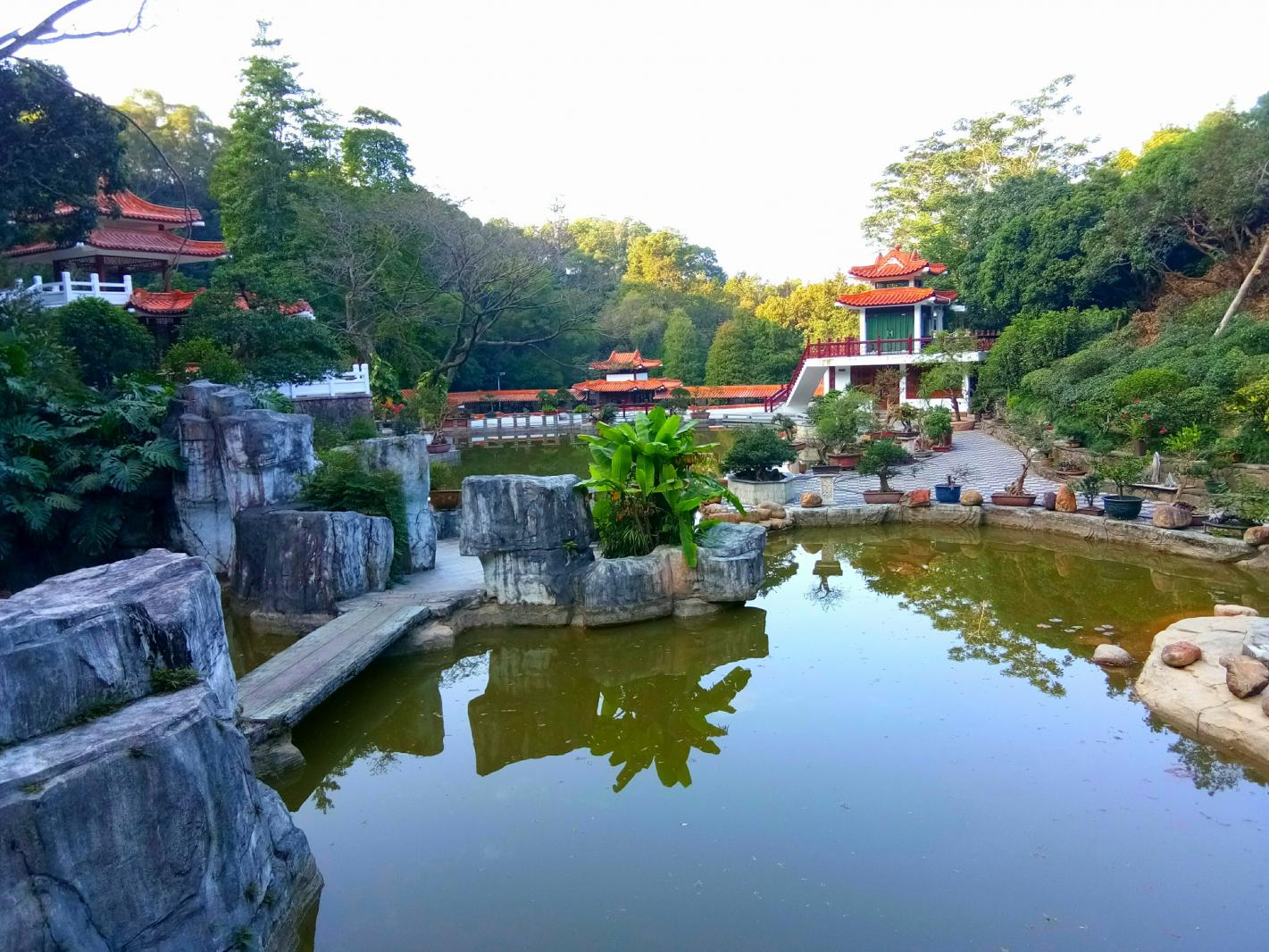 仙湖植物园盆景园