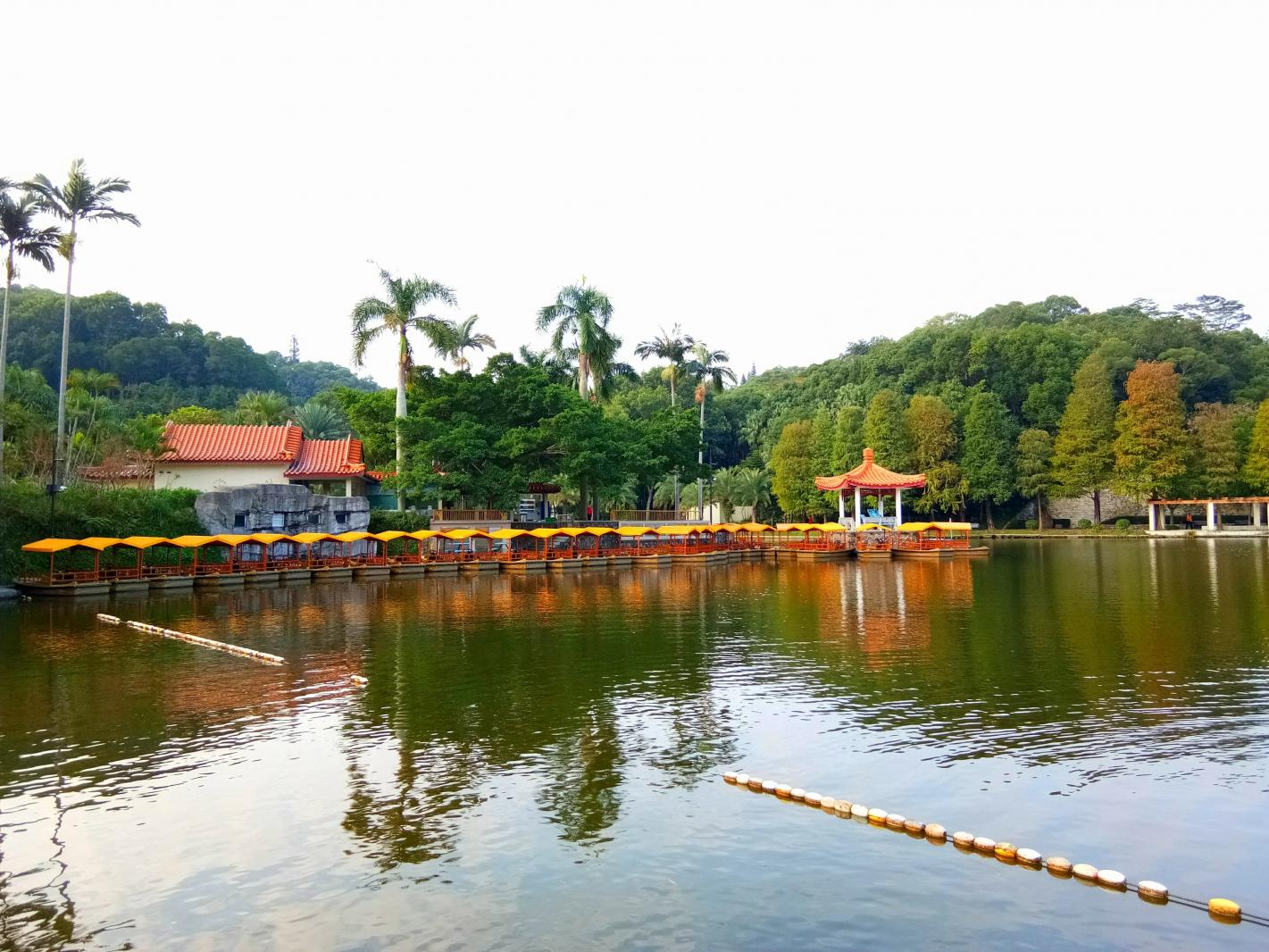 仙湖