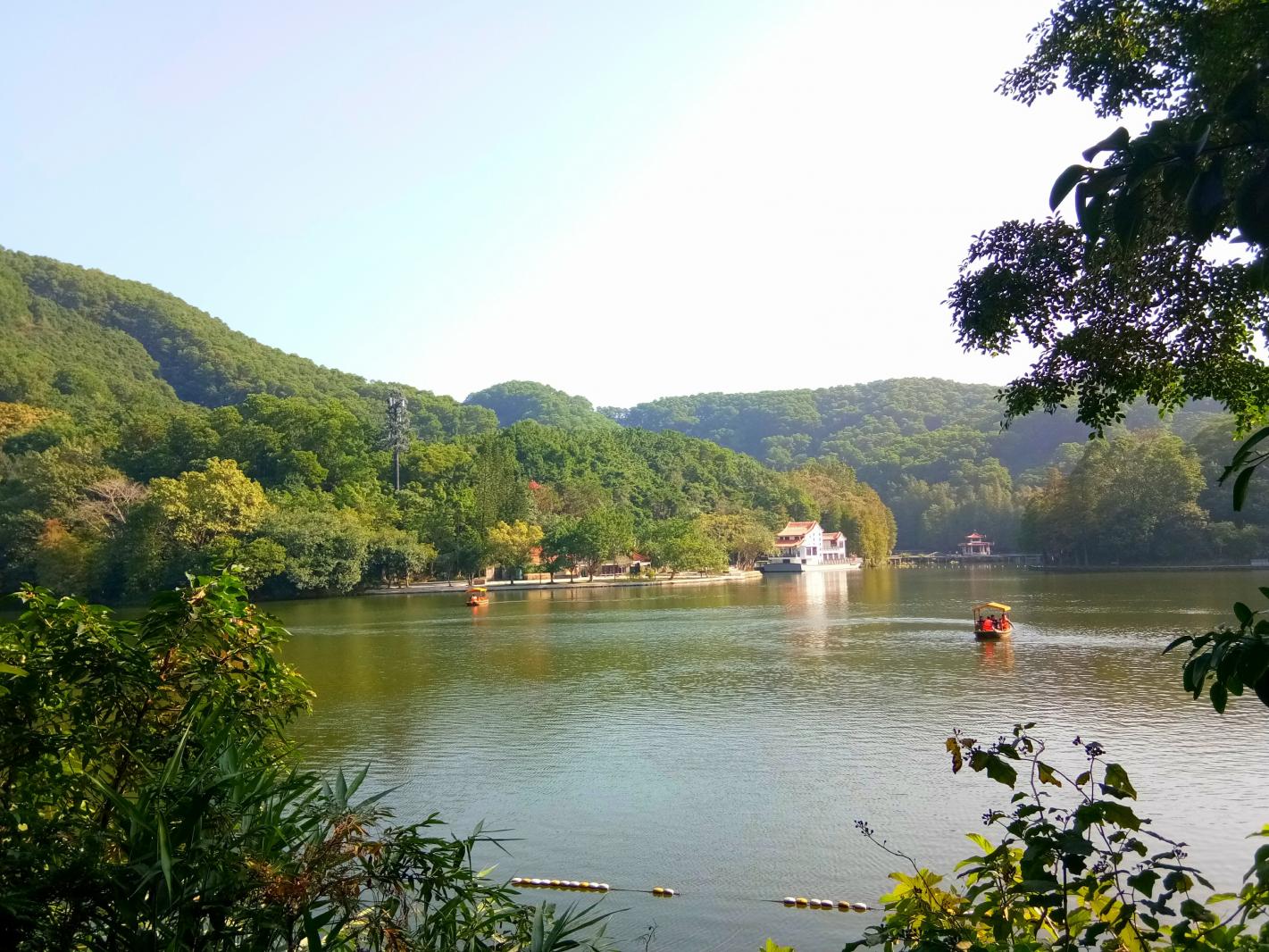 仙湖