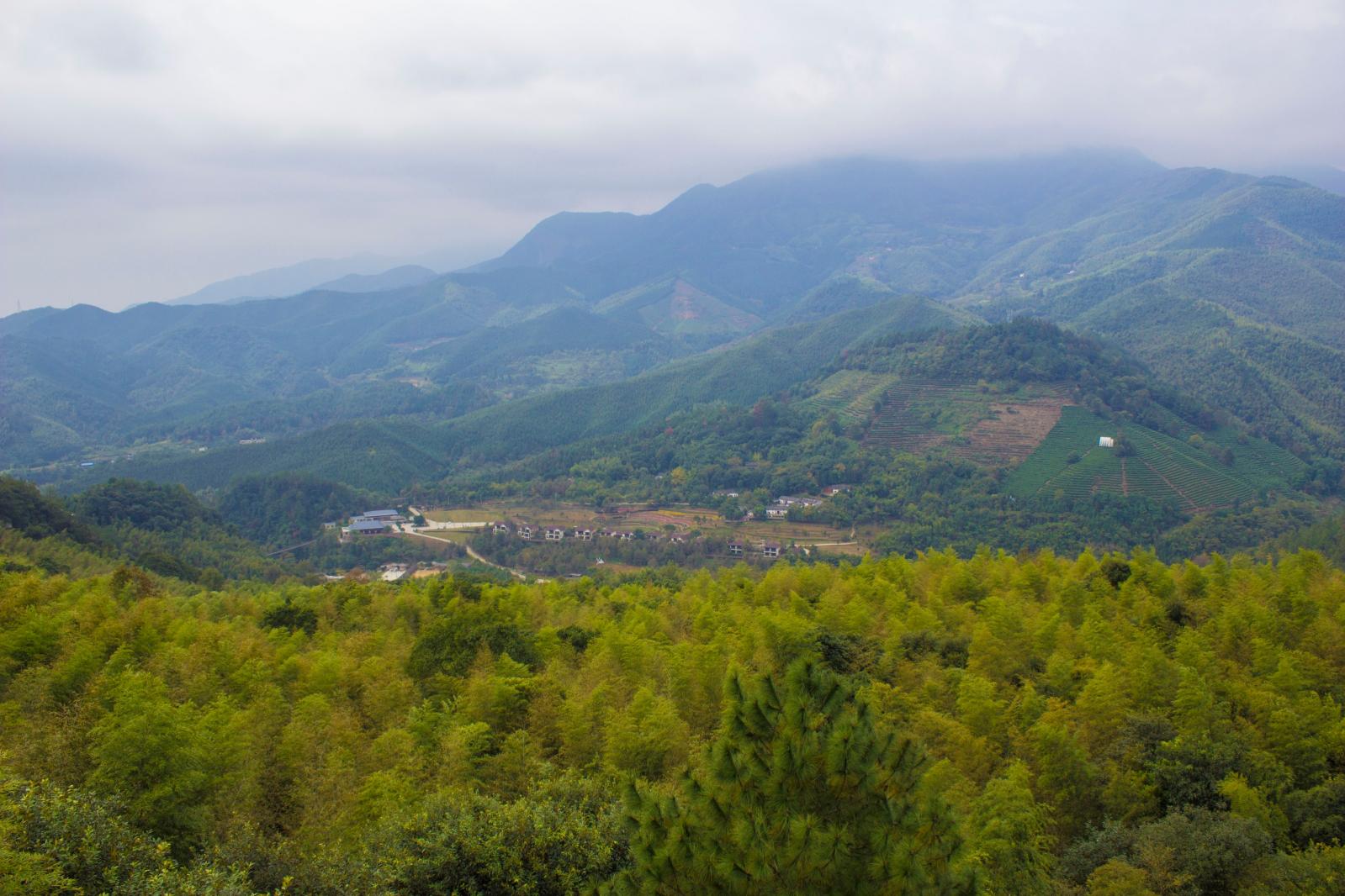 江西大余丫山