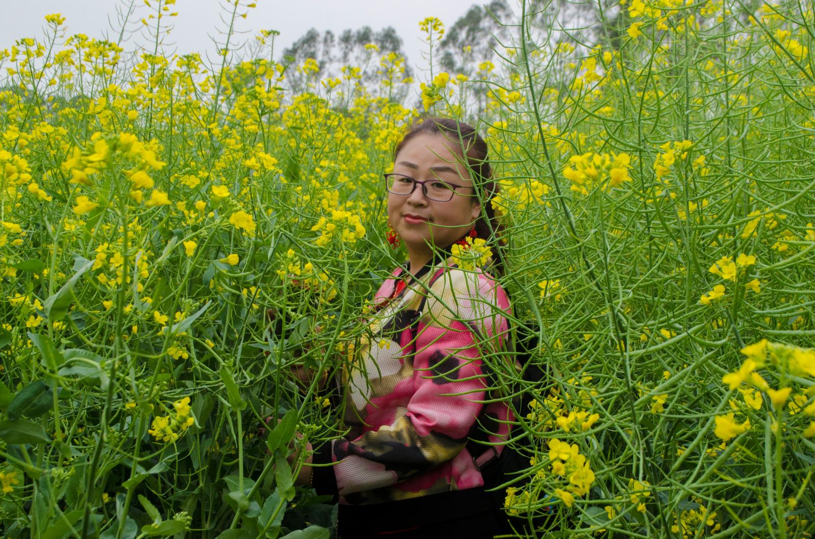 鹏城美丽乡村