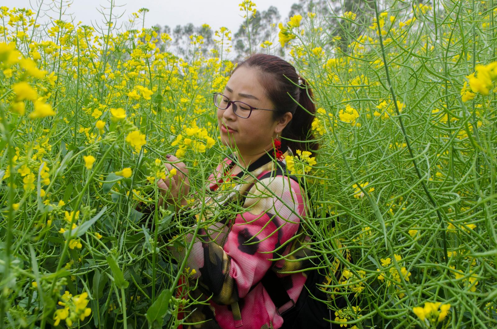 鹏城美丽乡村