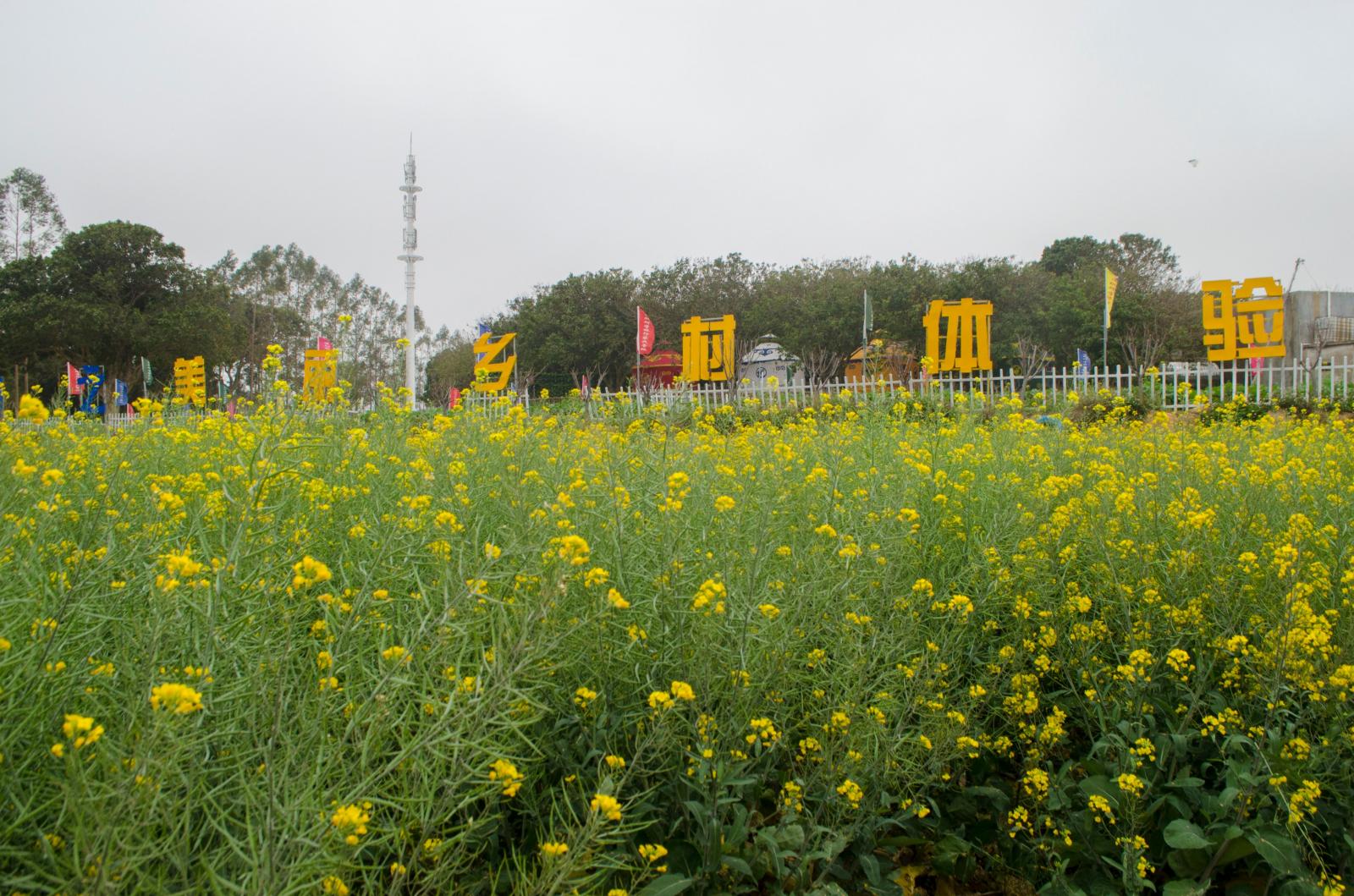 鹏城美丽乡村