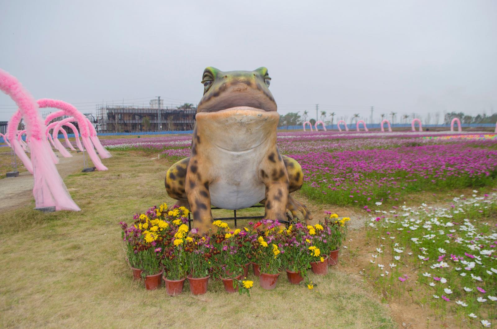 大鹏农科生态园