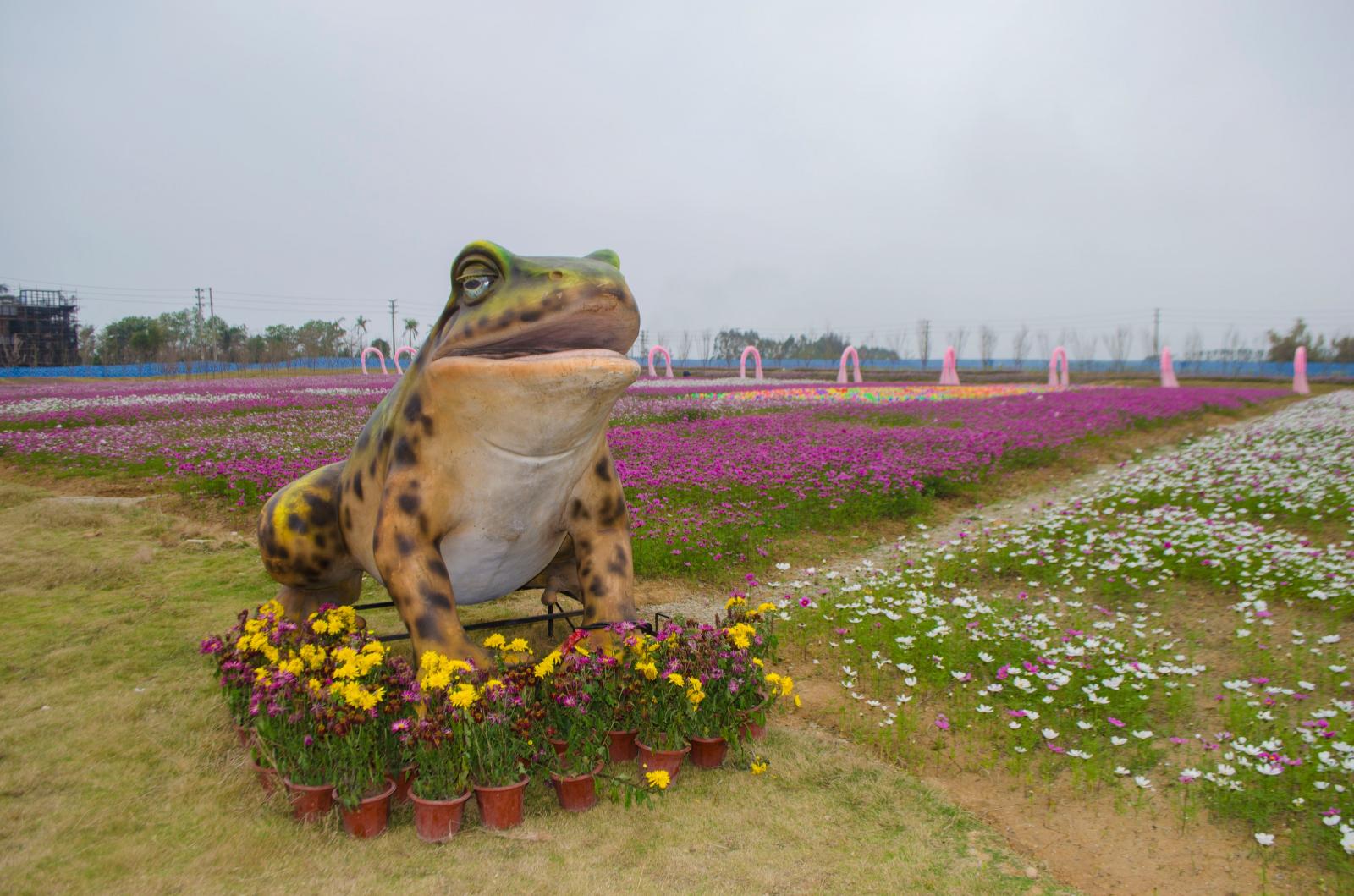 大鹏农科生态园