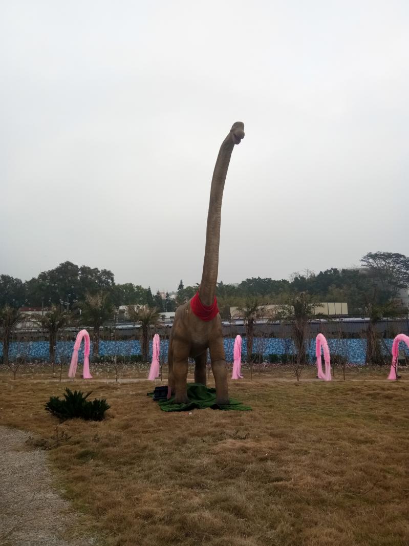 大鹏农科生态园