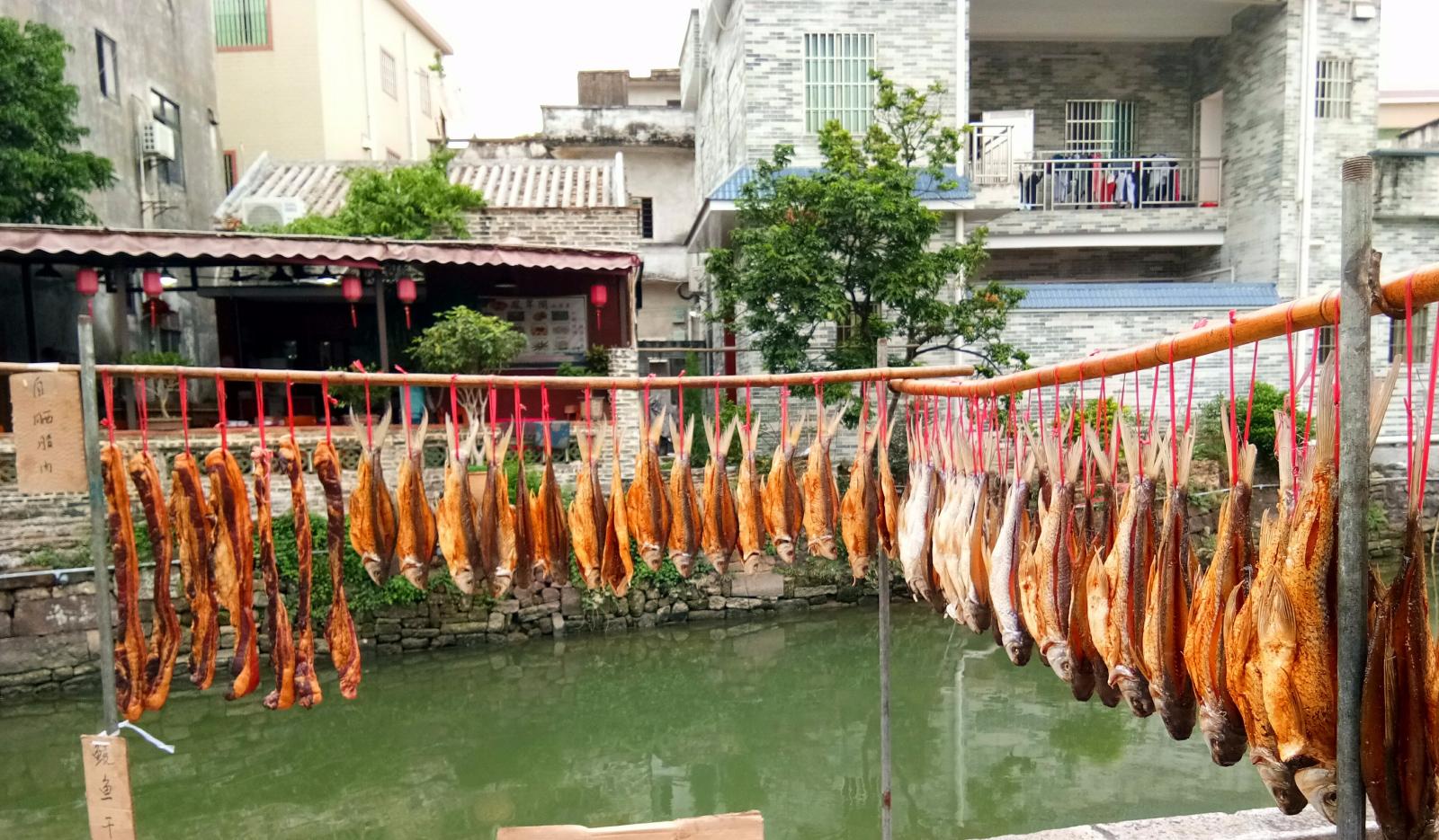 顺德逢简水乡