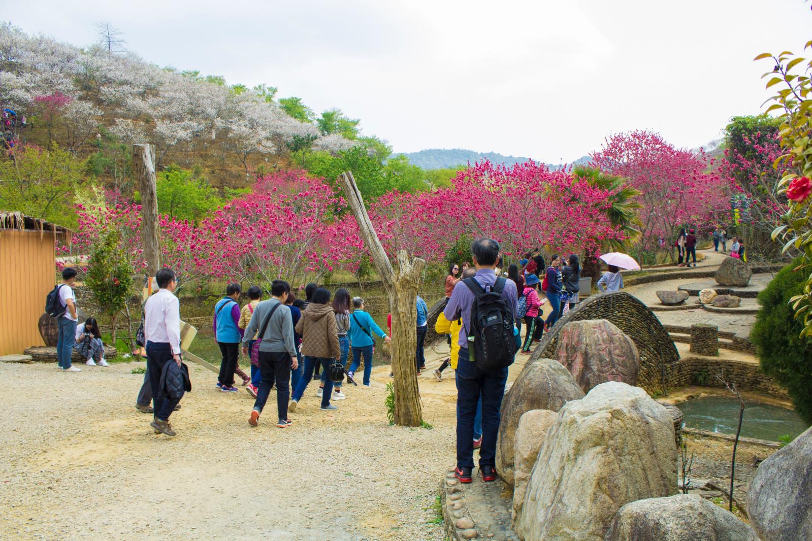 韶关云髻山