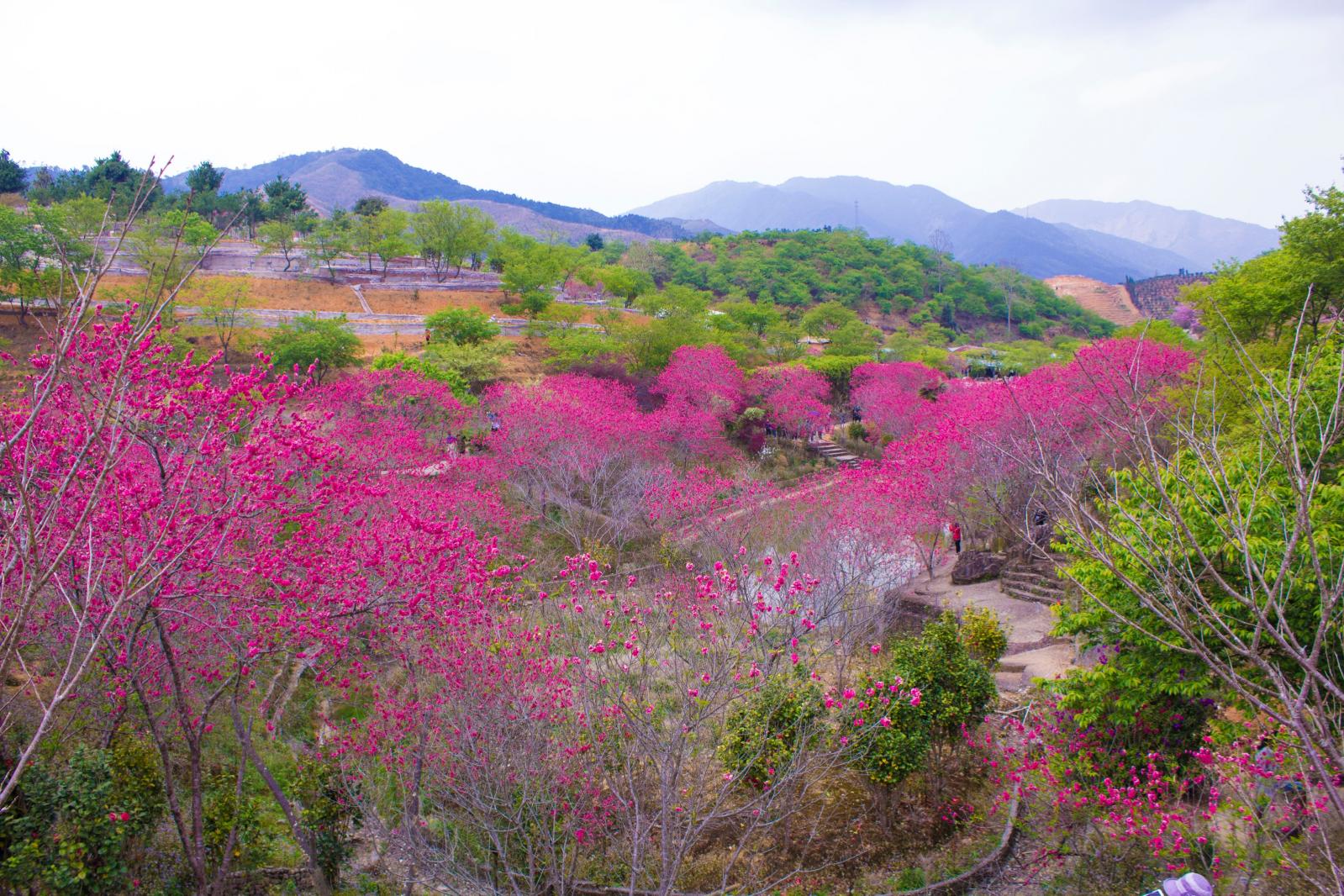 韶关云髻山