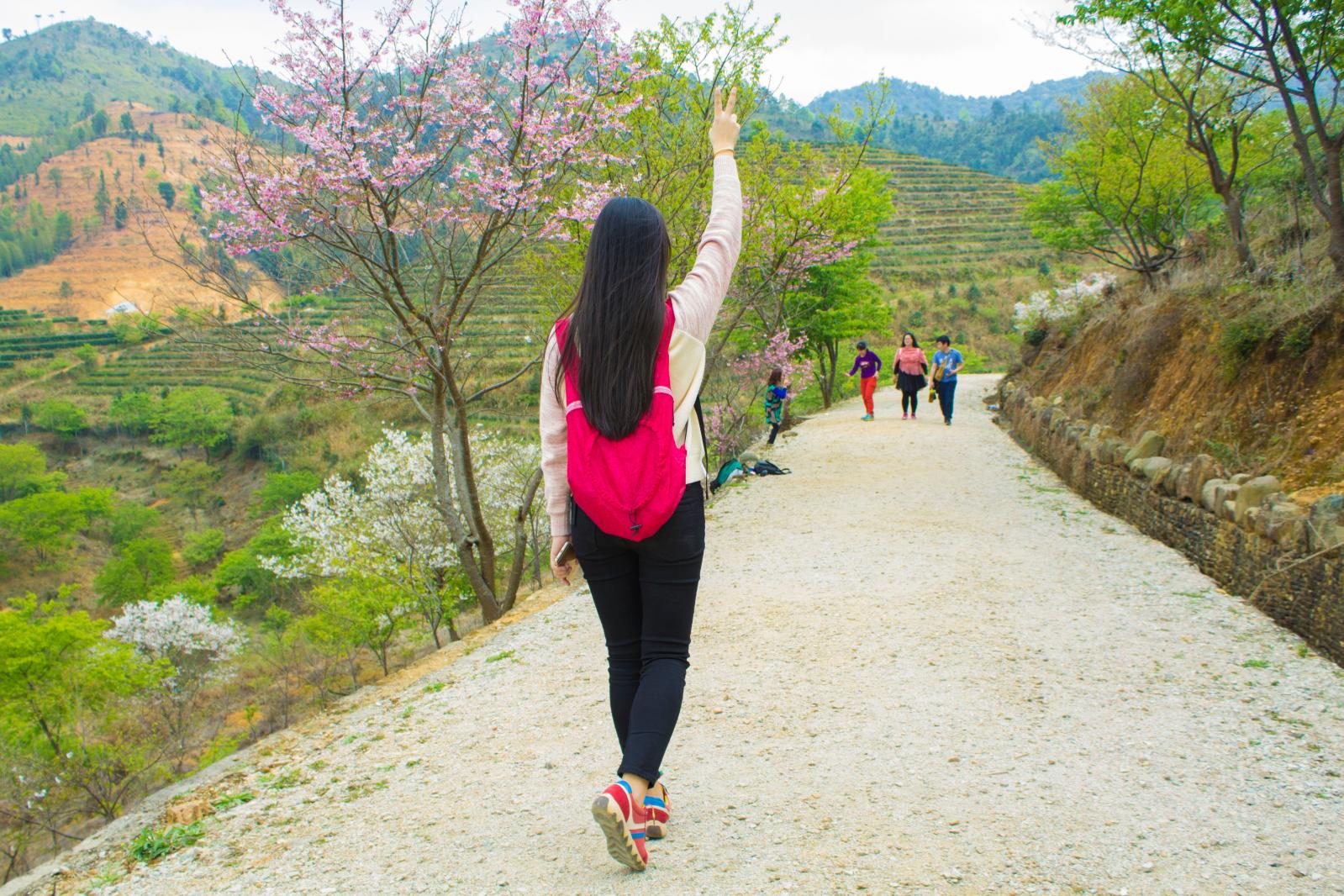 韶关云髻山
