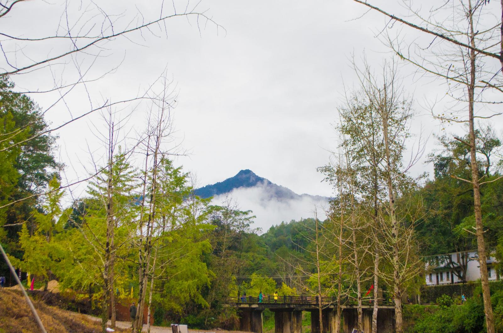 南雄帽子峰林场