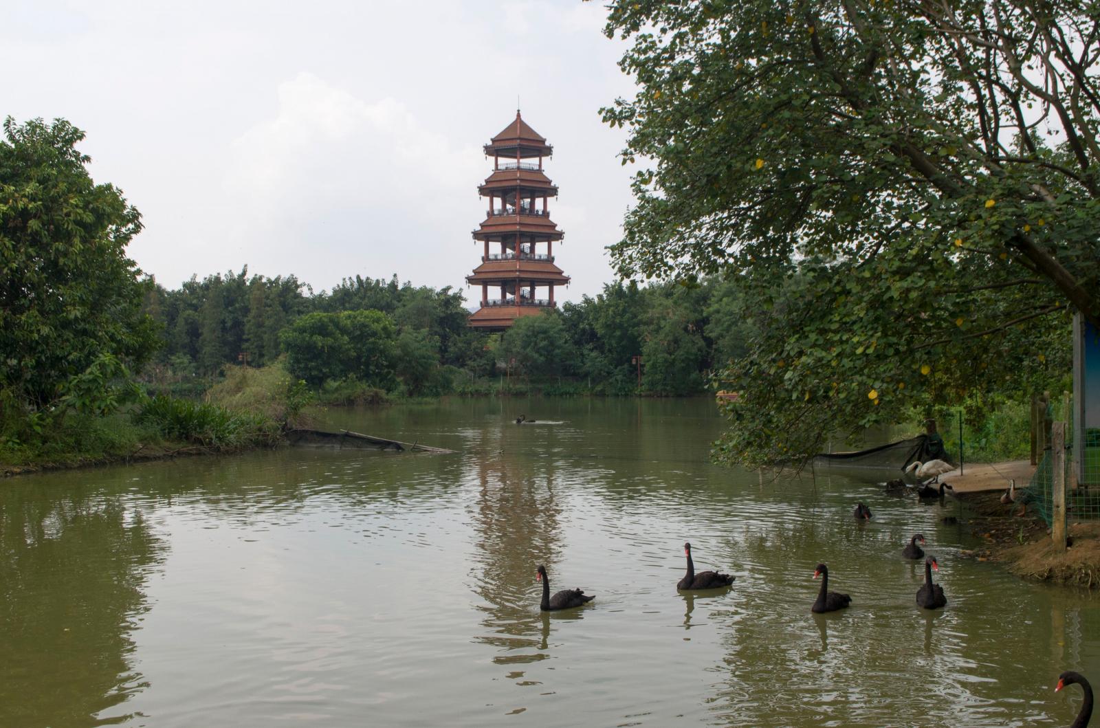 东莞香市动物园