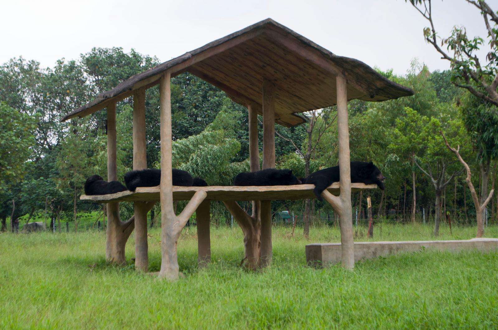 东莞香市动物园