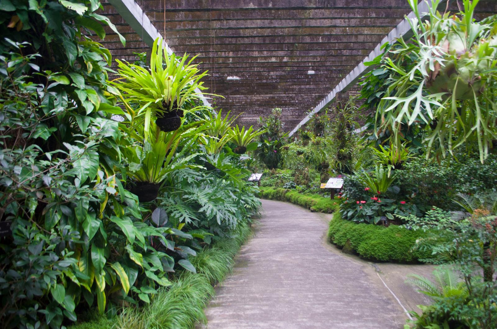 仙湖植物园