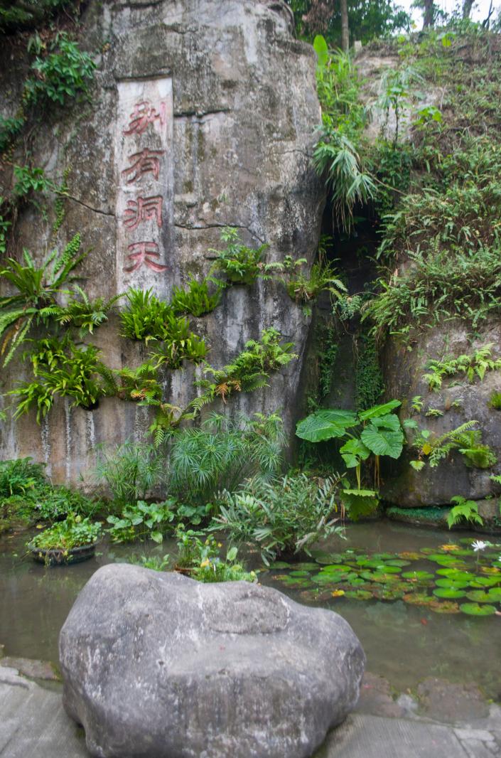 仙湖植物园