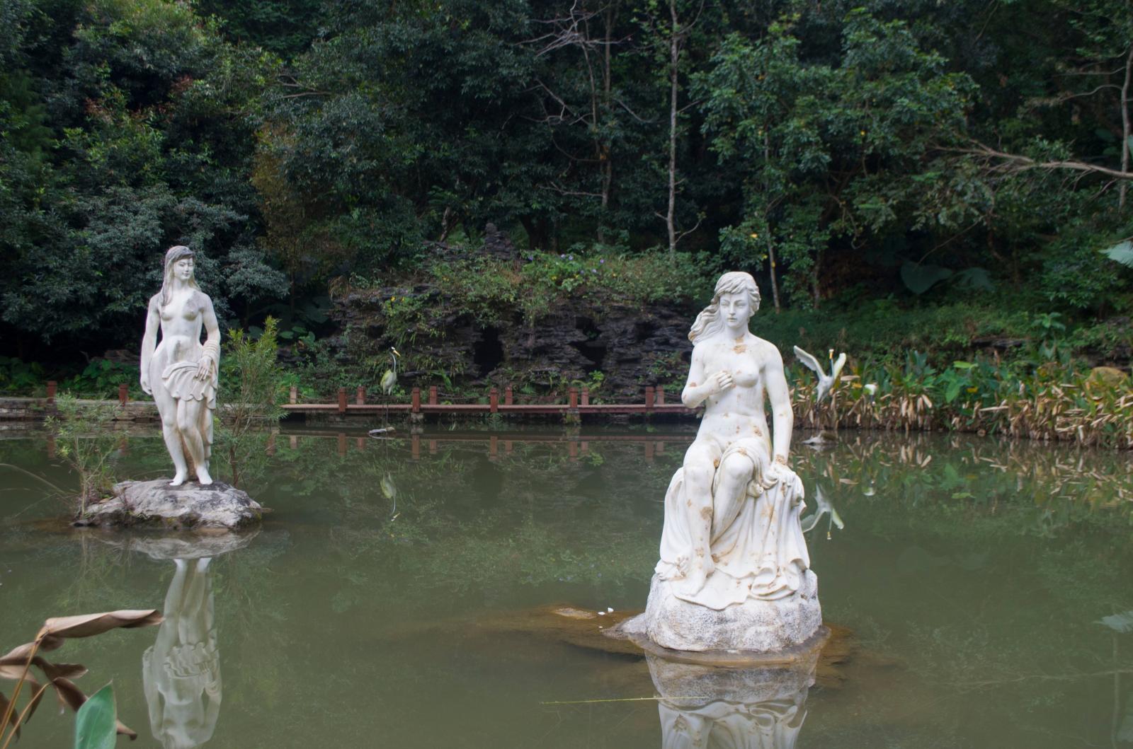 仙湖植物园