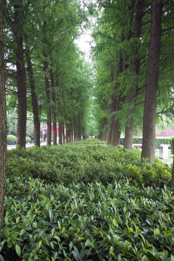 武汉风景