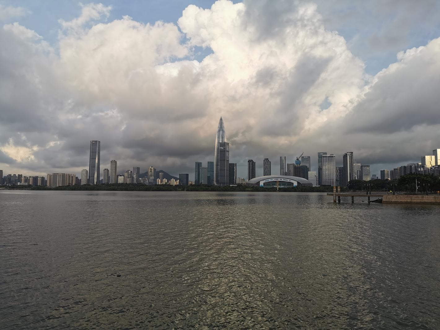 深圳湾春笋
