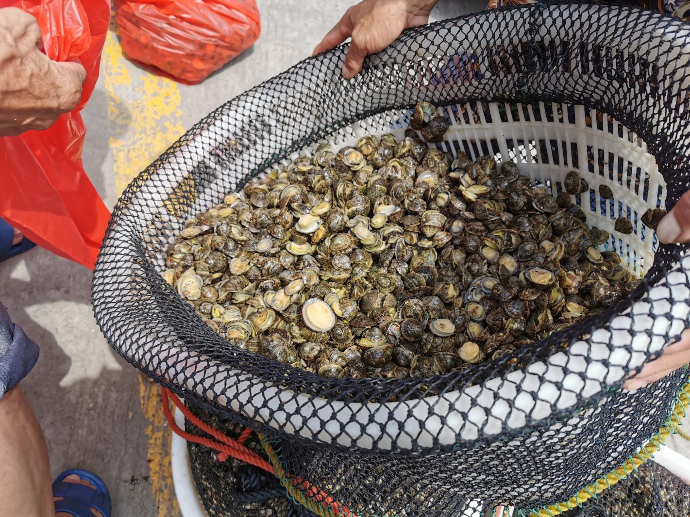 珠海东澳岛