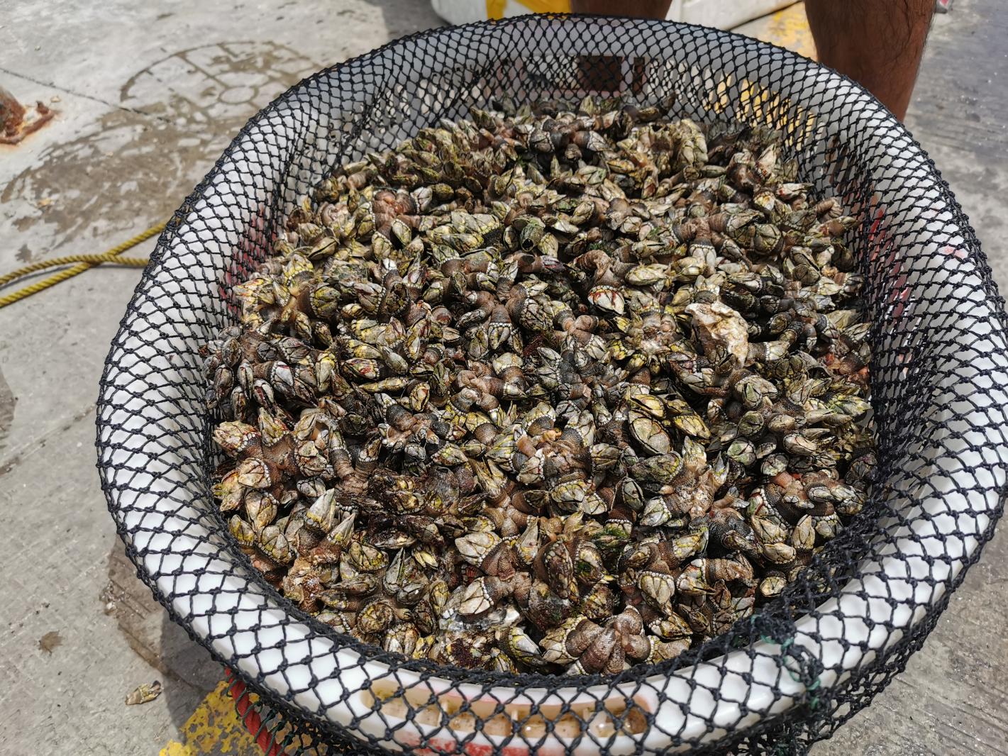 珠海东澳岛