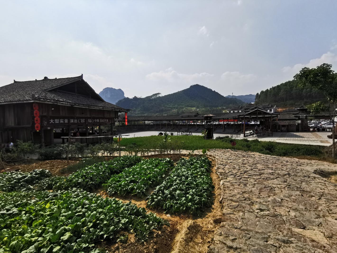 广西沿途风景