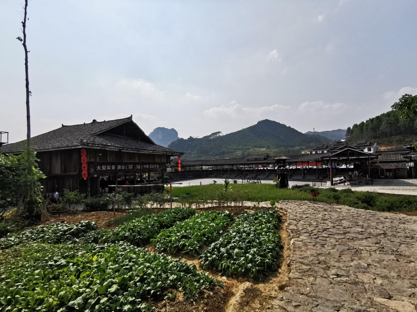 广西沿途风景