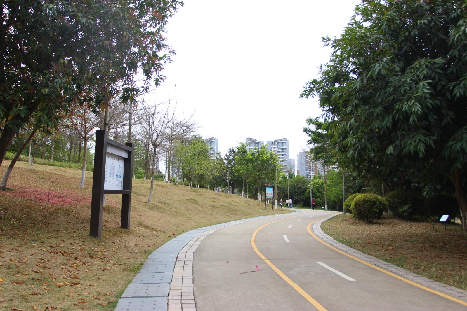 聚龙山