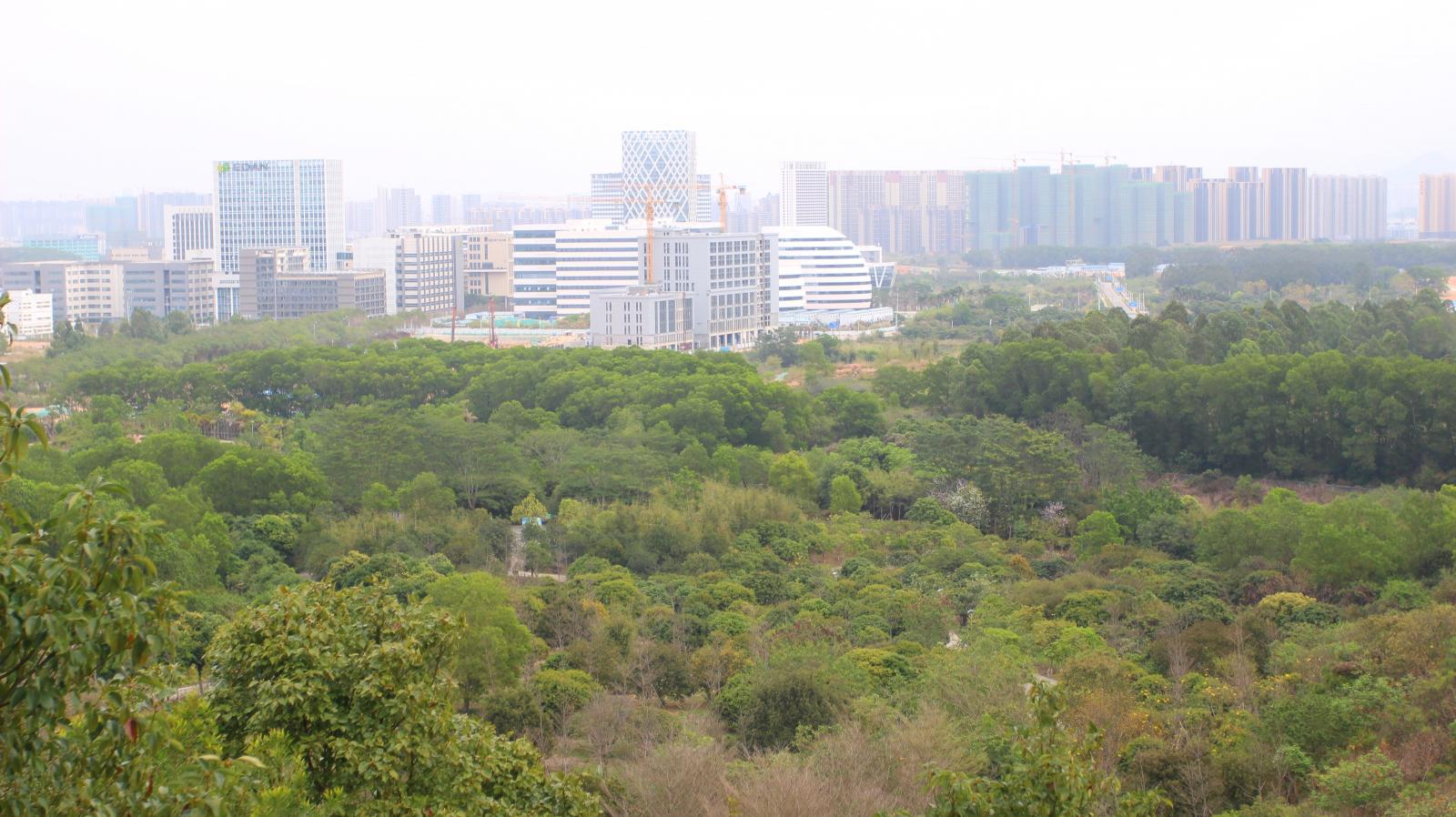 聚龙山