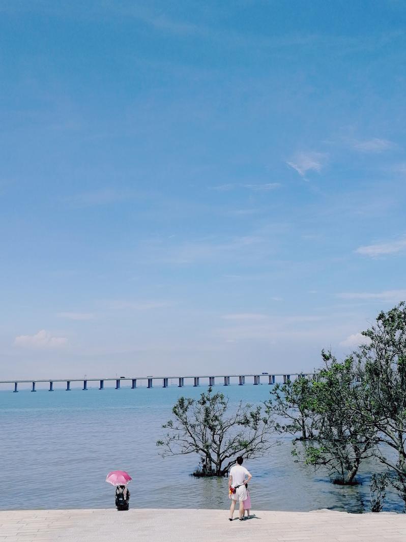 西湾红树林