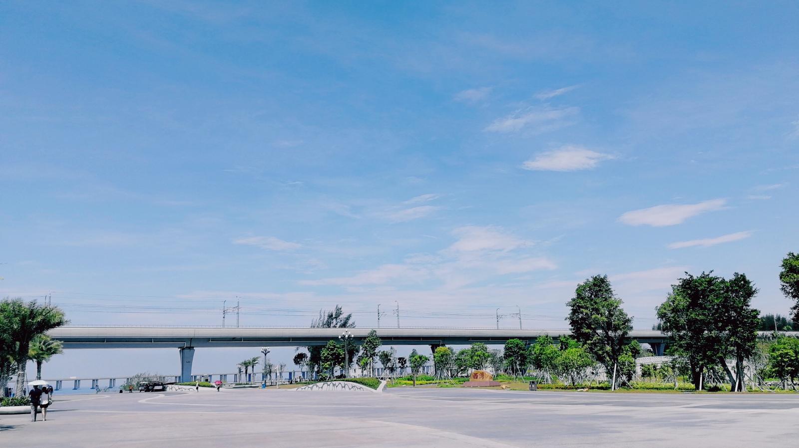 西湾红树林
