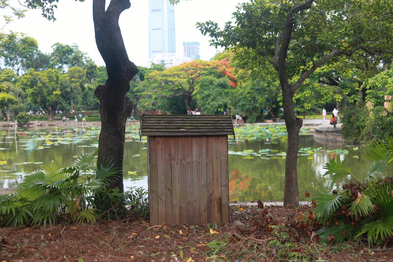 洪湖