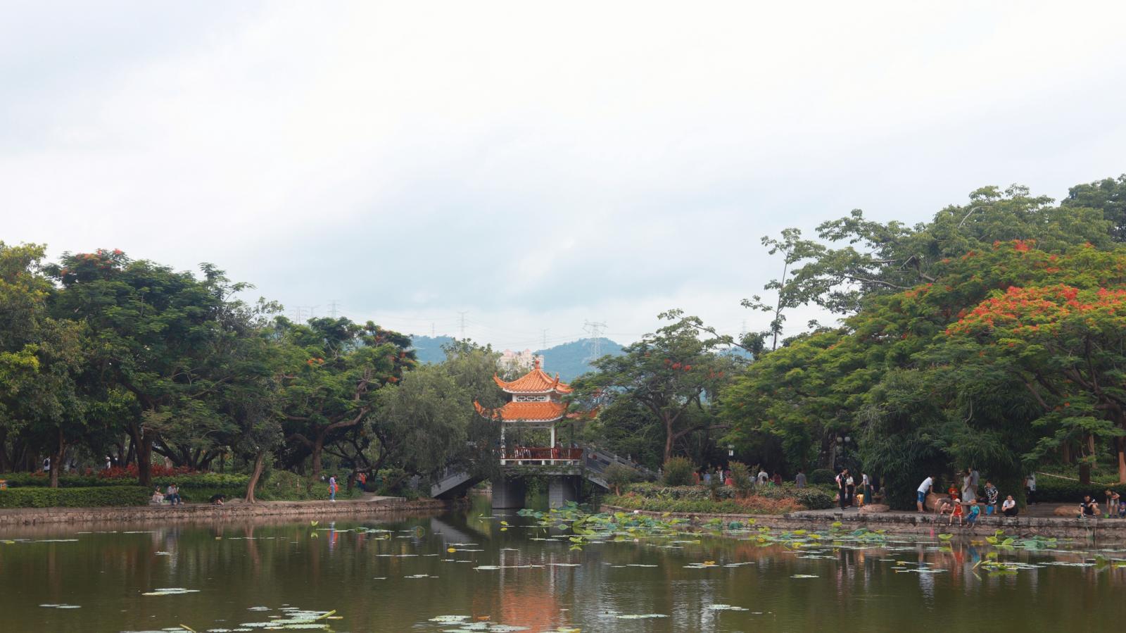 洪湖