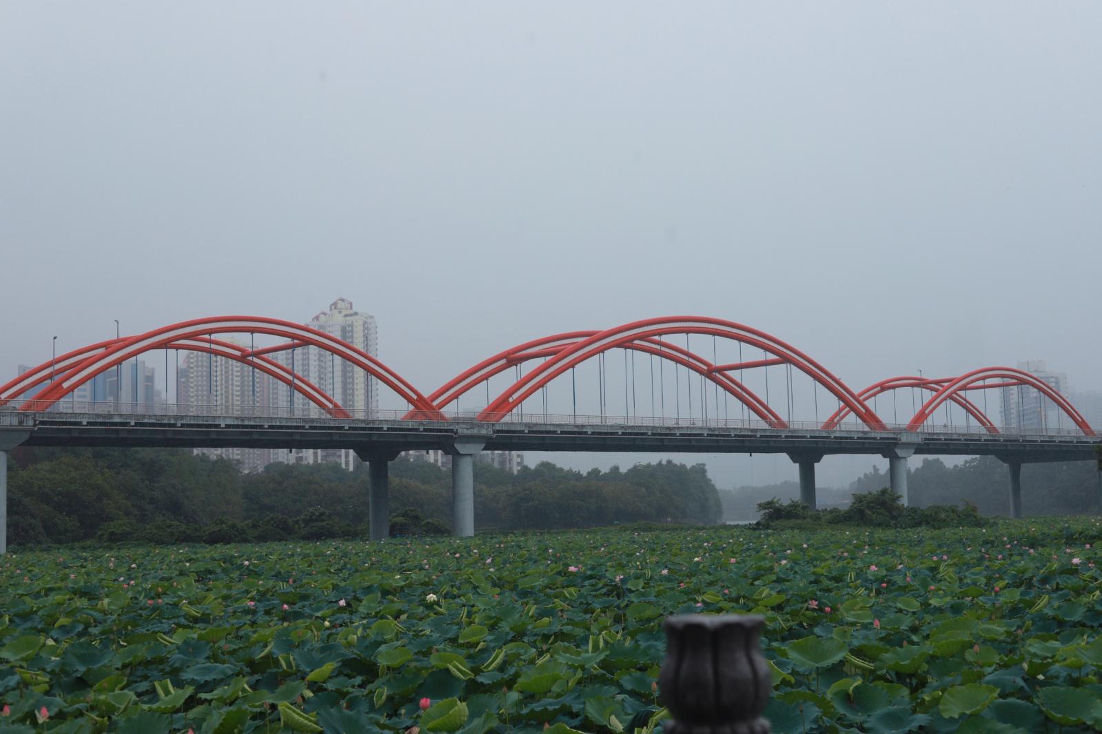 洪湖