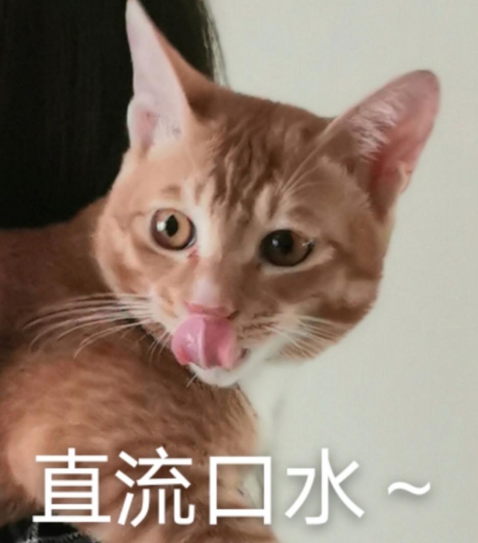 表情包