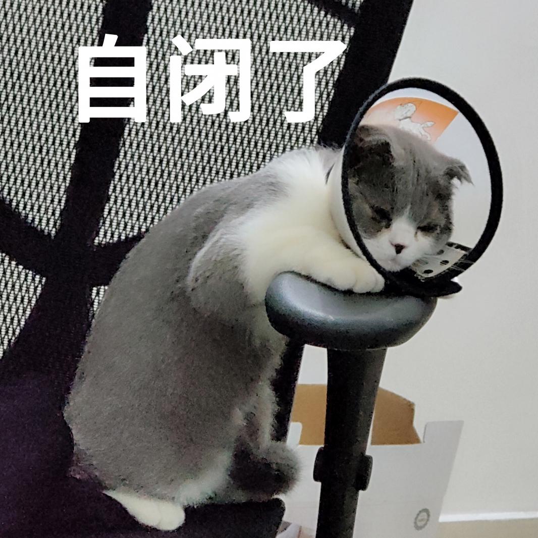 表情包