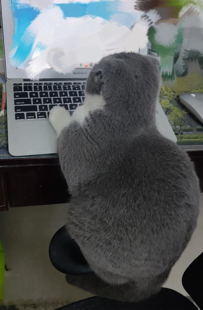 表情包