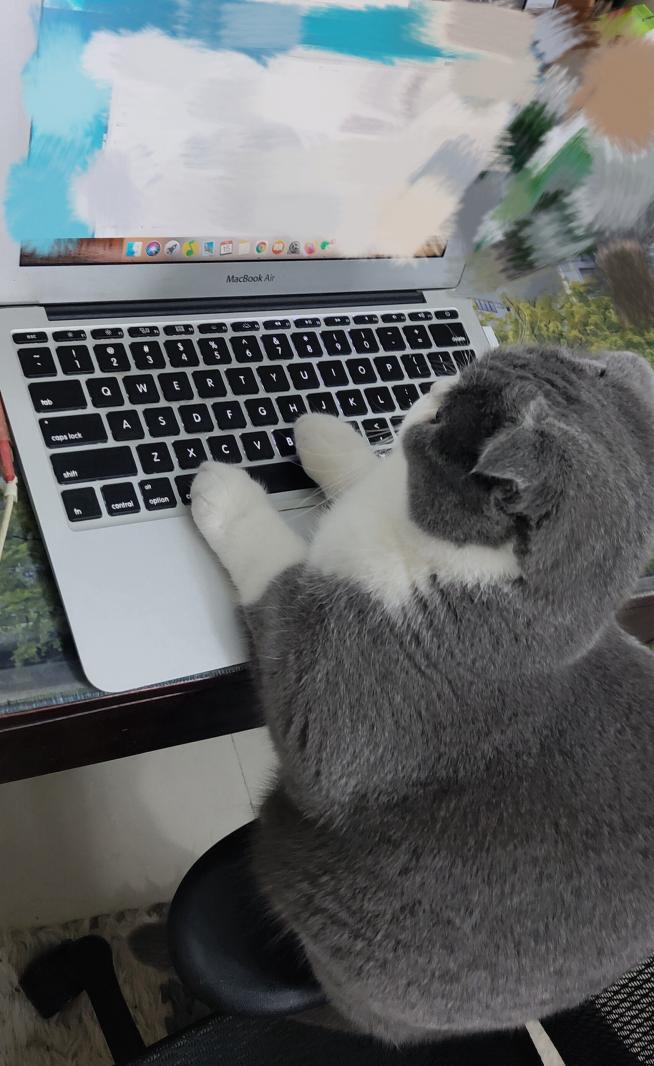 表情包