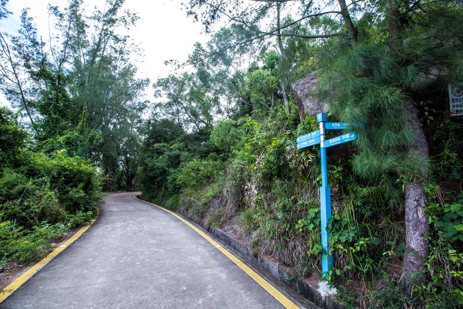外伶仃岛