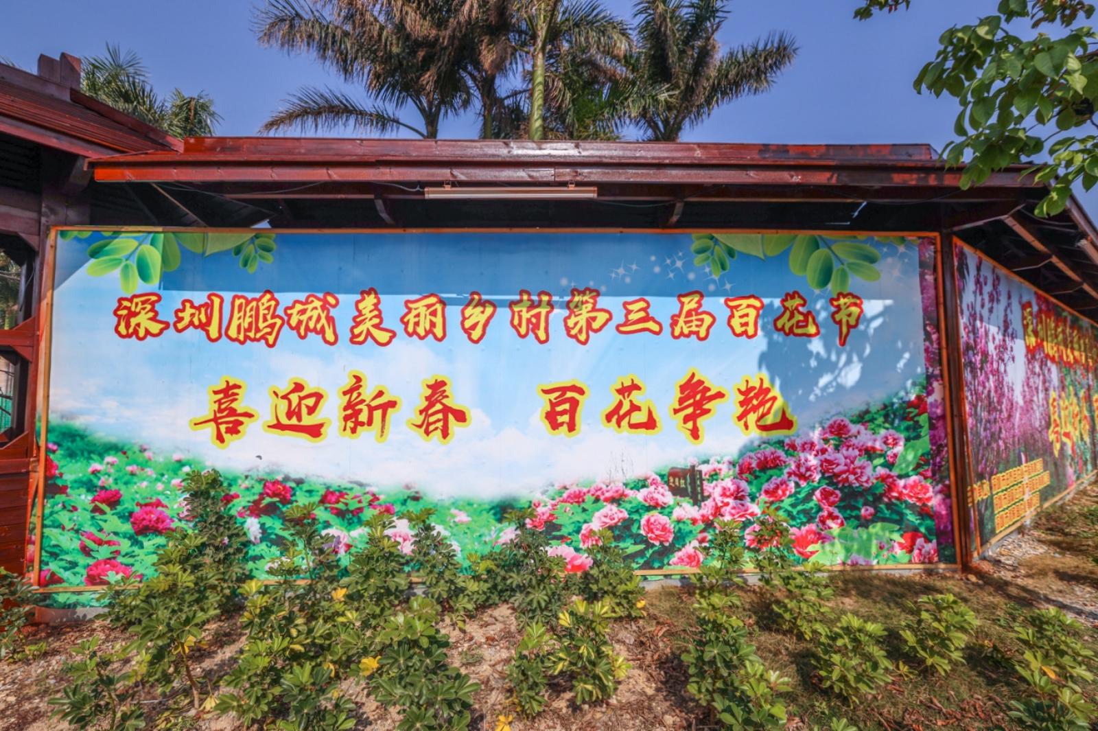 美丽乡村百花节