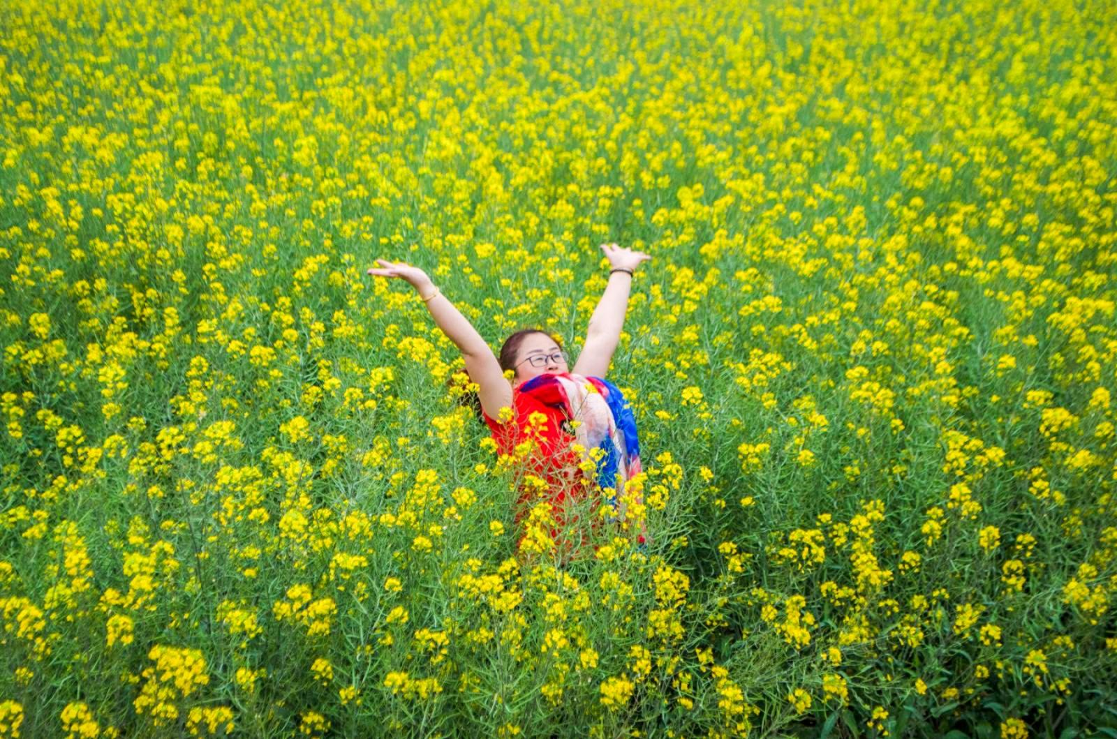 美丽乡村百花节