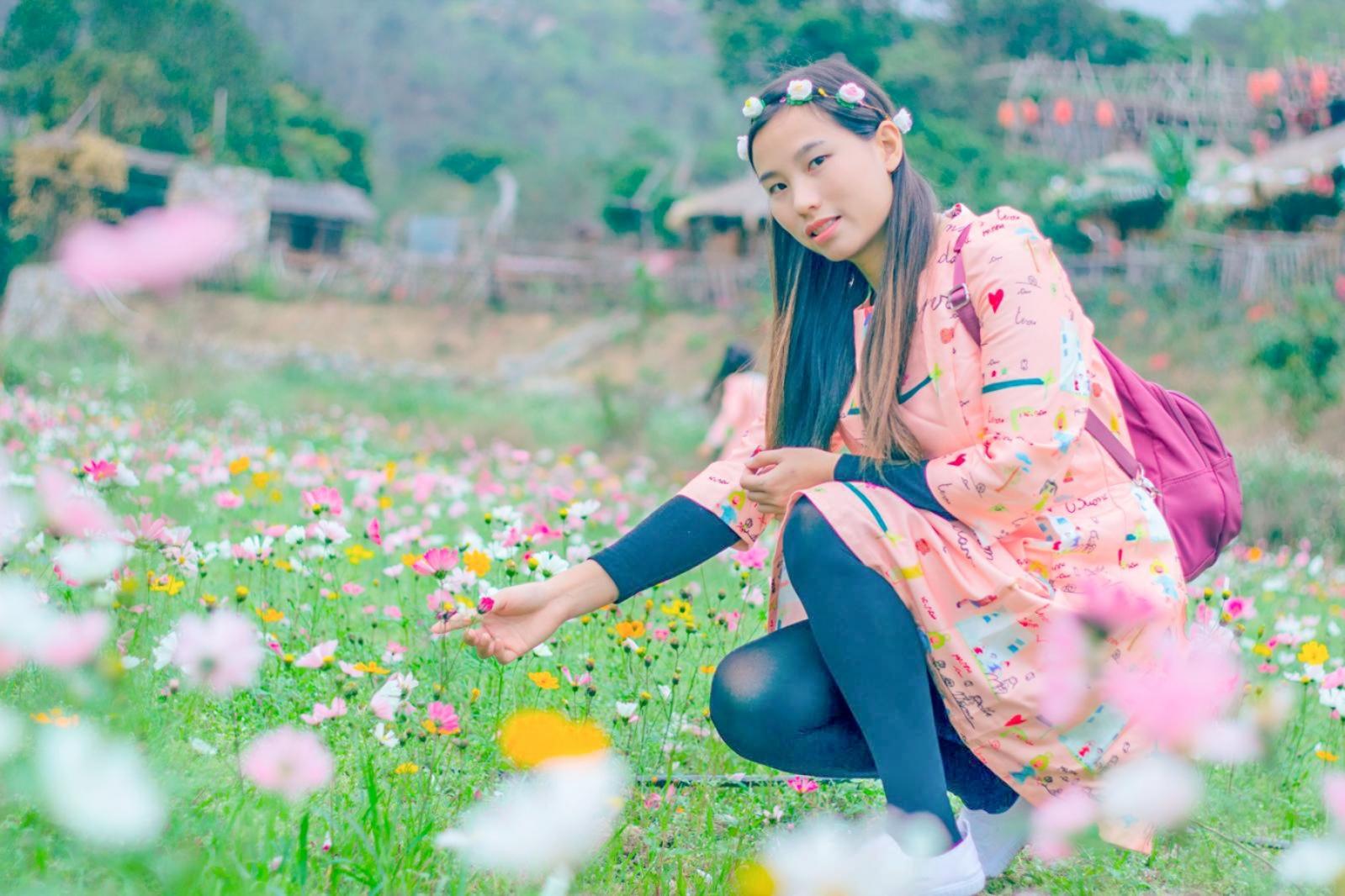 美丽乡村百花节