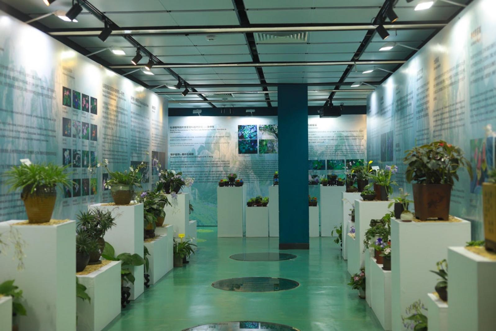 仙湖花展
