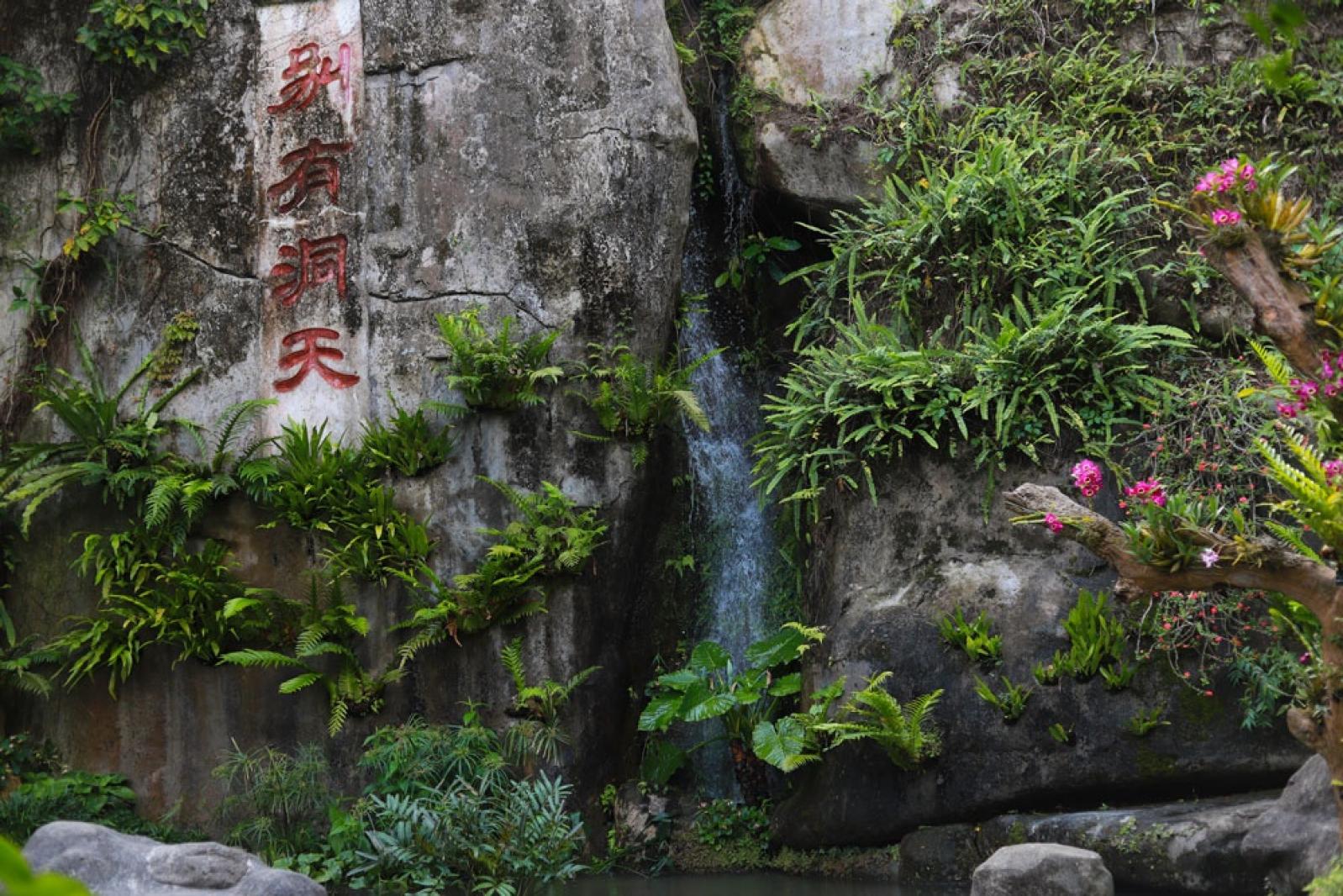 仙湖花展