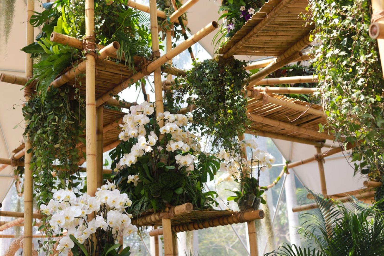 仙湖花展