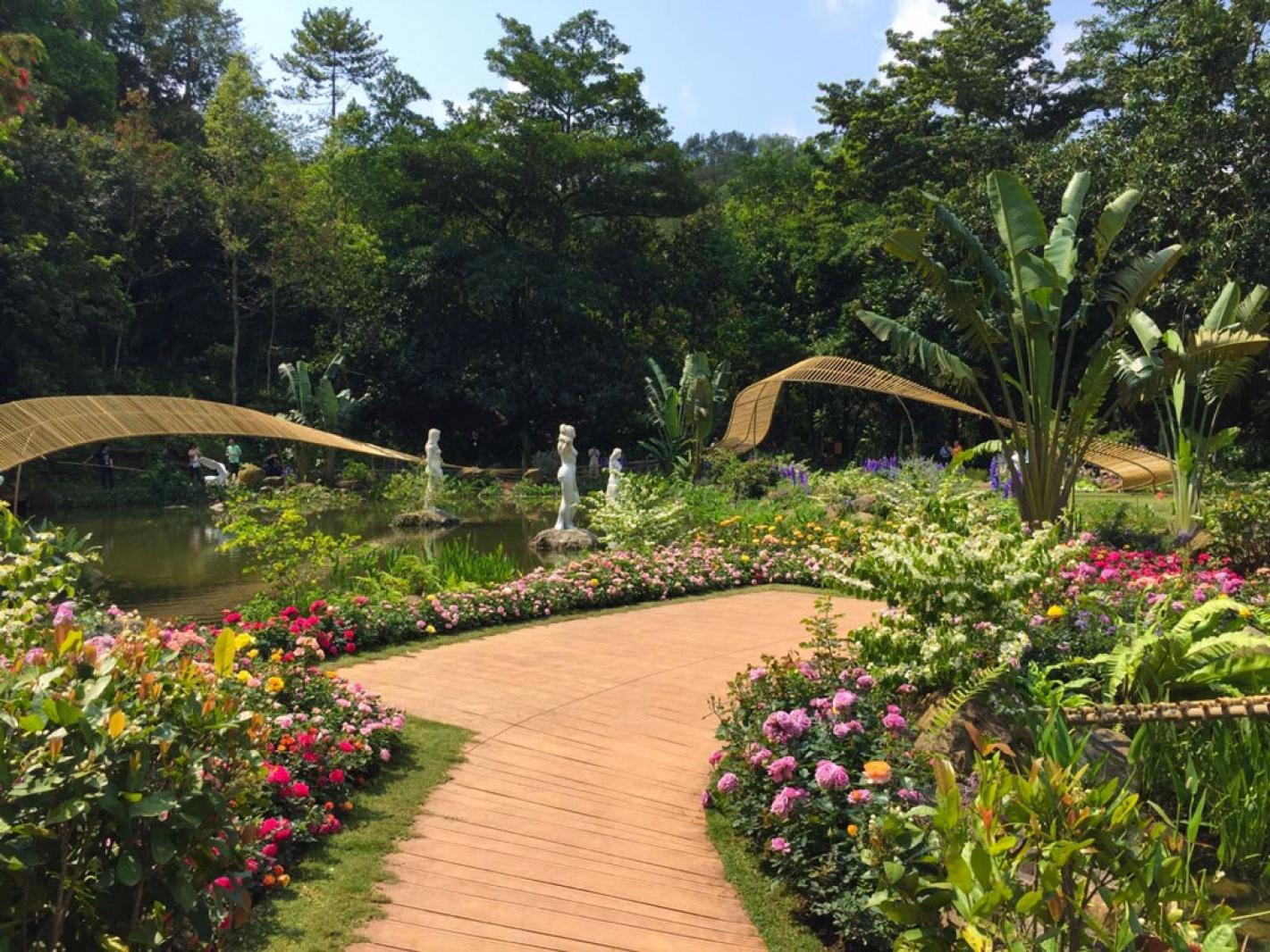 仙湖花展