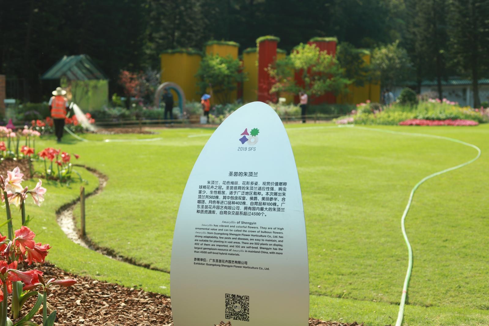 仙湖花展