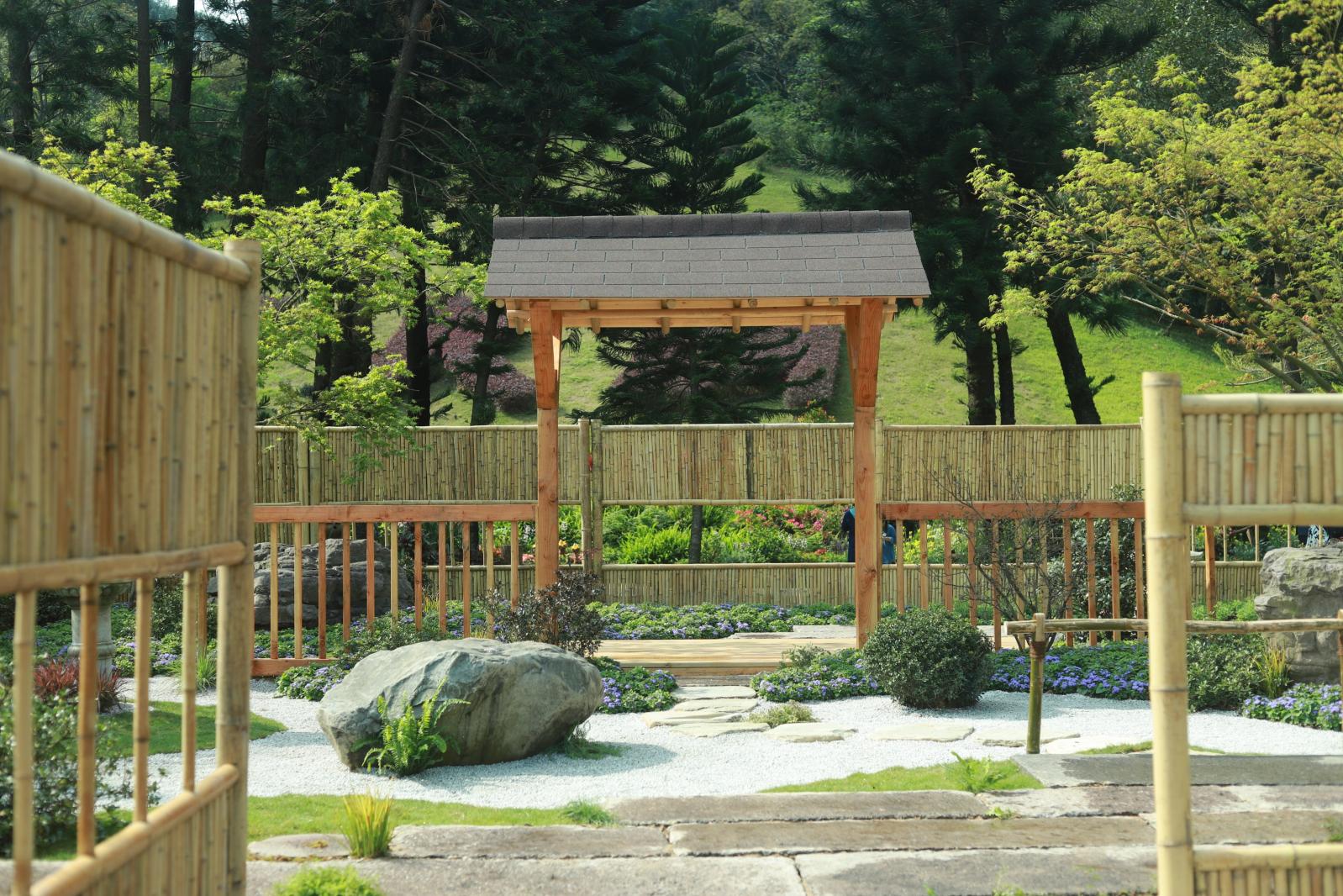 仙湖花展