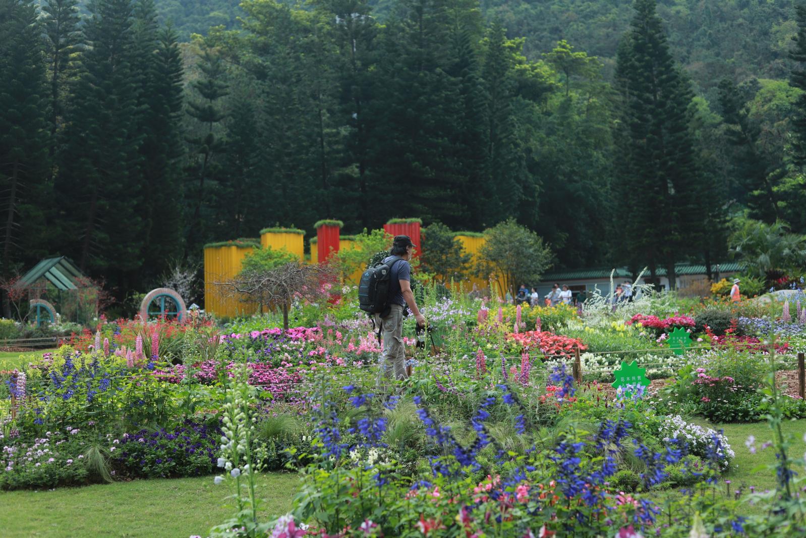 仙湖花展